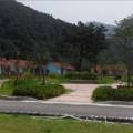 용늪마을영농조합법인 이미지