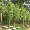 성한농장 이미지