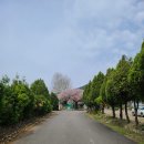 갱번마루 이미지