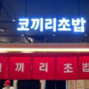 대흥동 KT 지사 앞 | 광화문 KT빌딩 맛집⎜광화문 맛집 스시 퀄리티 좋은 @코끼리초밥 (B세트 후기)