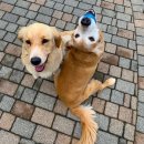 다니엘 농장 이미지