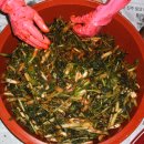 일구농장2 이미지