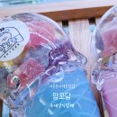 앙꼬당