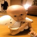 홍성원 이미지
