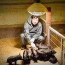 억대축산 이미지