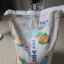 구미농협비산지점 | [솔직후기] 구미시농협 일선정품 영호진미 vs 일반 마트 쌀, 매일 먹는 밥맛이 어떻게 달라졌는지 따져봤다