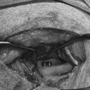 용인죽전 24시 스카이동물메디컬센터 이미지