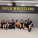 골드레슬링 이미지