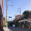 대티터널입구 이미지