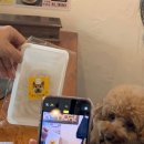 하남숯불닭갈비 이미지