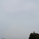 보물섬 주변 도로 만리향길 조성사업 | 5월여행지추천 울릉도 독도 죽도 일정으로 힐링여행