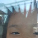 용인대 백룡 태권도 이미지