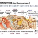 이편한보청기 일산센터 이미지