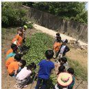 남포농장 이미지