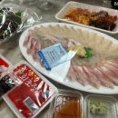물만난김선장