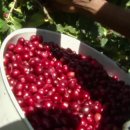 수당농장 이미지