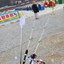 평창 우통수 | [강원도] 2025년 평창송어축제 후기 및 정보공유