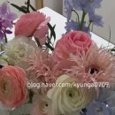 화장농장 이미지