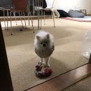 동물에 반하다 동물병원 이미지