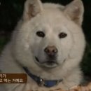 하르방대패삼겹살 이미지