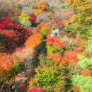 가을에 특히 더 아름다운 경기도 단풍 명소 추천 이미지