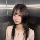 루경헤어 신세계 강남점 | 허쉬컷 대신 울프컷, 라벤더애쉬브라운 염색