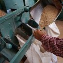 세국농장 이미지