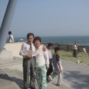미도라사 Daum카페