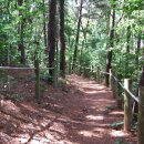 광덕산근린공원 이미지