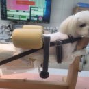 독사랑동물병원 이미지