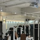 세교동 소로 3-7 | [평택PT/세교동PT] 오운완 잘나오는 헬스장을 찾고 계신가요?