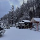 계방산펜션 | 강원도 평창 대관령 숙소 리조트 캠핑 추천 스탈릿캠핑펜션 별빛 아래 캠핑의 매력