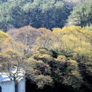 한산초등학교비진분교장 이미지