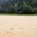 내성천 제방도로 이미지