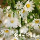 로단테(rodante)