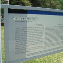 태조대왕태실 Daum카페