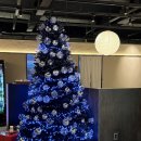 죽도김밥 본점 | 창원 상남동 회식 맛집 - 문어 샤브샤브 먹물집