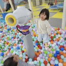 📸 라즈베리·블루베리새마을실내놀이터 😍 이미지