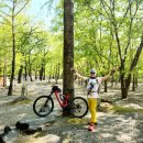 금관1리 이미지