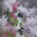 올바른서울병원 네이버블로그