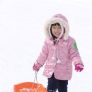 무궁화어린이집 이미지