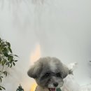 머뭉공간 이미지