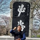 누이네일
