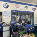 M카센타 이미지