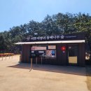 서천 마량리 동백나무 숲 이미지