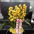 초이스약국 이미지