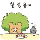 예미지키즈어린이집 이미지