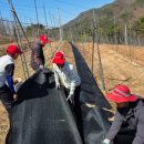 정운농장 이미지