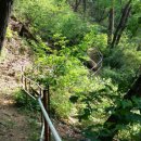 산속호수마을 이미지