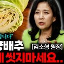 &#34;베이킹소다, 식초 아닙니다&#34; 양배추 &#39;이렇게&#39; 씻어야 농약이 싹! 사라집니다 이미지